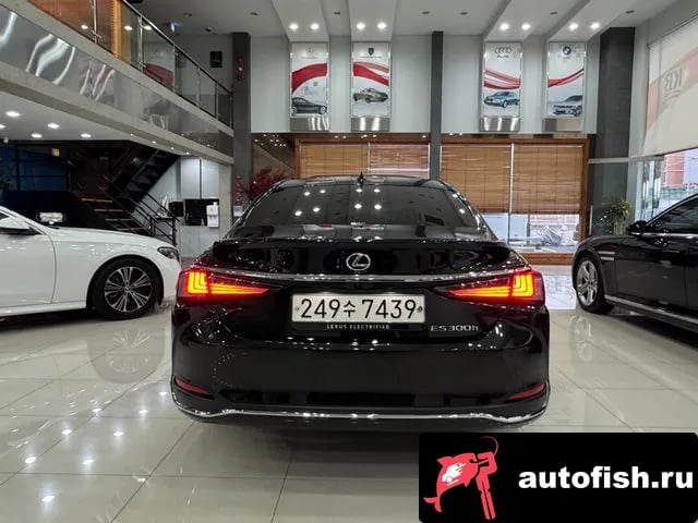 Lexus ES ES300h 7th generation 2024 года - вид 4
