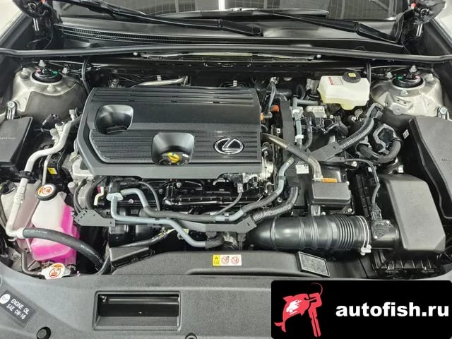 Lexus ES ES300h 7th generation 2025 года - вид 6