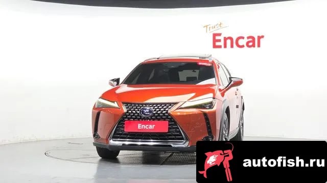Lexus UX UX250h 2019 года - вид 2