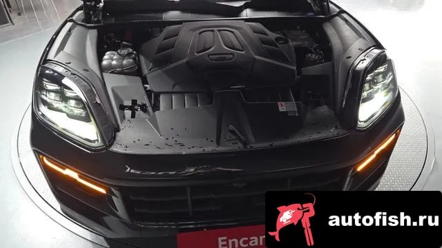 Porsche Cayenne Cayenne (PO536) 2024 года - вид 6