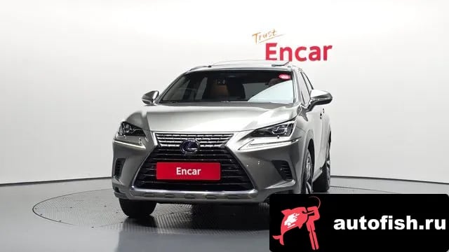 Lexus NX NX300h 2018 года - вид 3