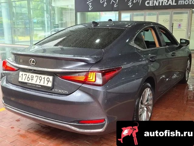 Lexus ES ES300h 7th generation 2022 года - вид 5