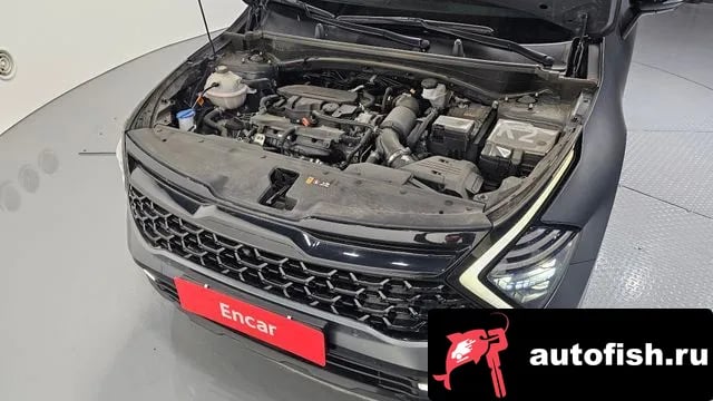 Kia Sportage Sportage 5th Generation 2024 года - вид 6