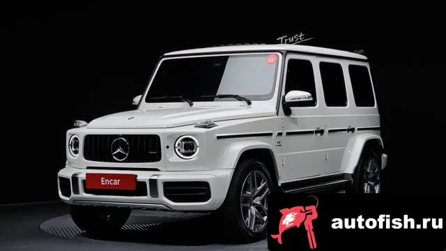 Mercedes-Benz G-Class G-Class W463b 2019 года - вид 1