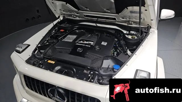 Mercedes-Benz G-Class G-Class W463b 2019 года - вид 6