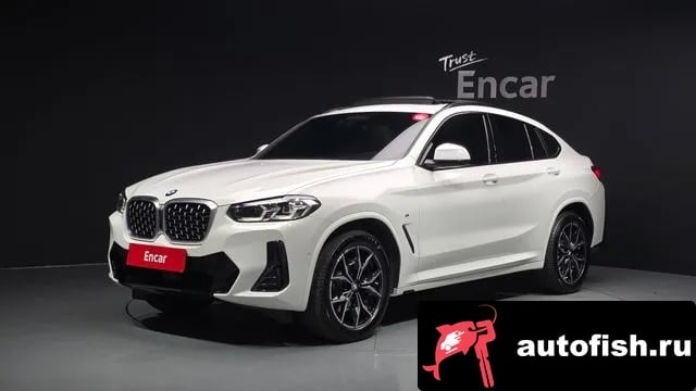 BMW X4 X4 (G02) 2023 года - вид 1