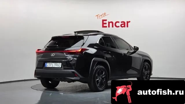 Lexus UX UX250h 2024 года - вид 2