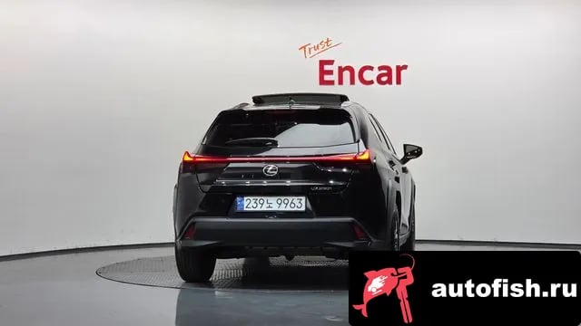 Lexus UX UX250h 2024 года - вид 4