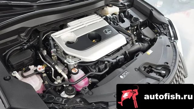Lexus UX UX250h 2024 года - вид 6