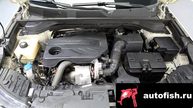 KG Mobility (Ssangyong) KORANDO Beautiful Korando 2019 года - вид 6