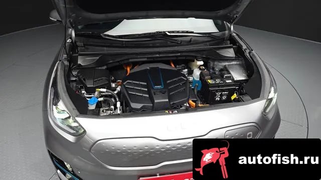 Kia Niro Niro EV 2021 года - вид 6