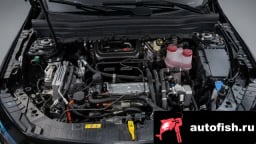 Миниатюра 6