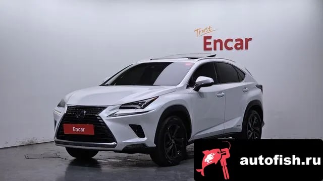 Lexus NX NX300h 2019 года - автомобиль из Южной Кореи