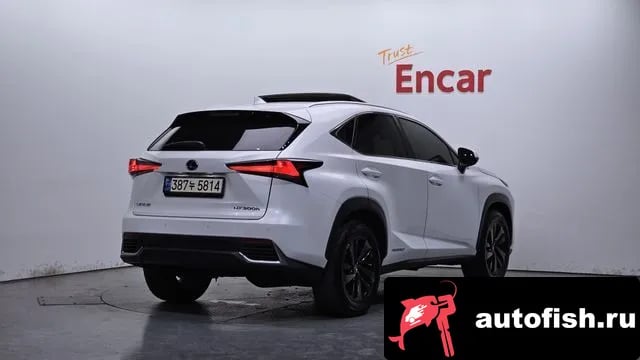 Lexus NX NX300h 2019 года - вид 2