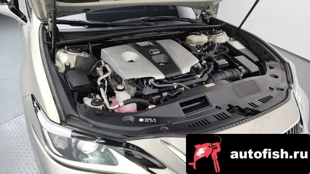 Lexus ES ES300h 7th generation 2018 года - вид 6