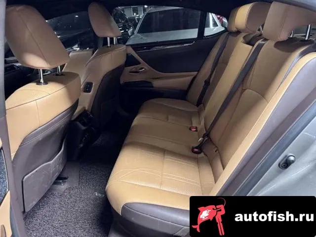Lexus ES ES300h 7th generation 2021 года - вид 5