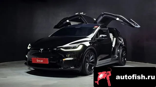Tesla Model X Model X 2023 года - автомобиль из Южной Кореи