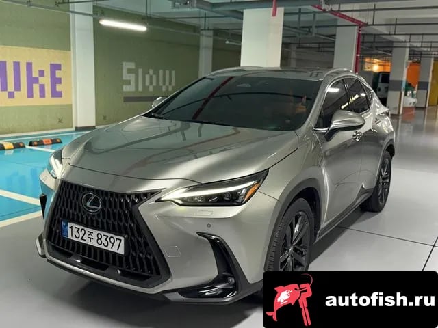 Lexus NX NX350h Second generation 2024 года - автомобиль из Южной Кореи