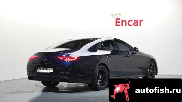Mercedes-Benz CLS-Class CLS-Class C257 2020 года - вид 2