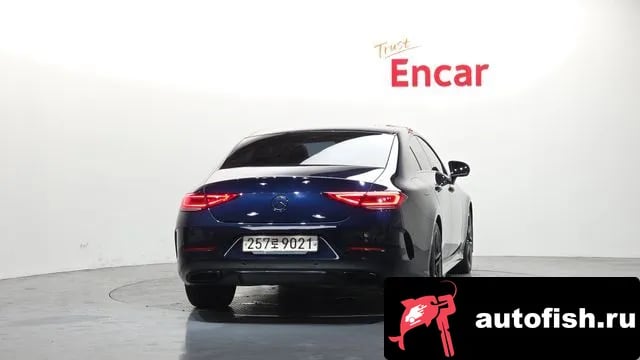 Mercedes-Benz CLS-Class CLS-Class C257 2020 года - вид 4