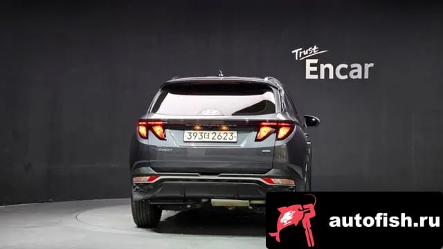 Hyundai Tucson Tucson (NX4) 2023 года - вид 4