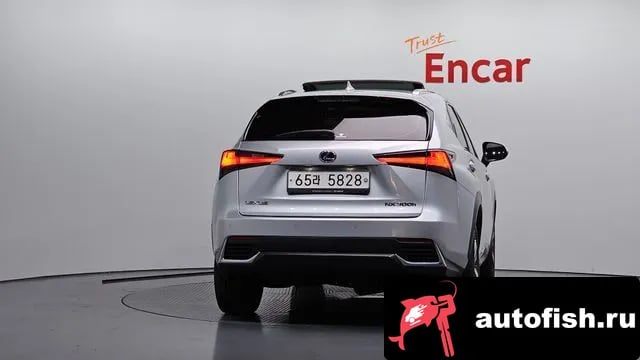 Lexus NX NX300h 2018 года - вид 4