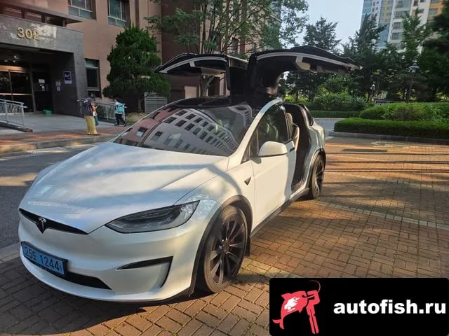 Tesla Model X Model X 2023 года - автомобиль из Южной Кореи