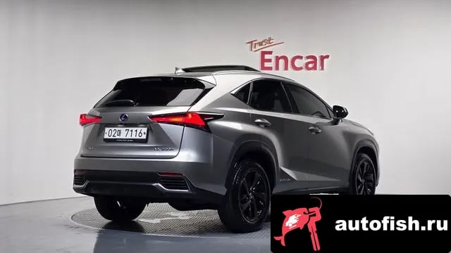 Lexus NX NX300h 2018 года - вид 1