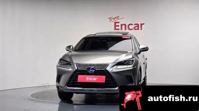 Lexus NX NX300h 2018 года - вид 2