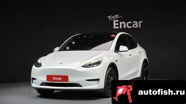 Tesla Model Y Model Y 2023 года - автомобиль из Южной Кореи