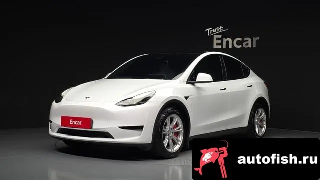Tesla Model Y Model Y 2023 года - автомобиль из Южной Кореи