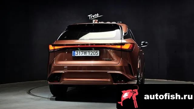 Lexus RX RX500h 5th generation 2023 года - вид 4