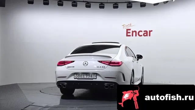 Mercedes-Benz CLS-Class CLS-Class C257 2019 года - вид 4