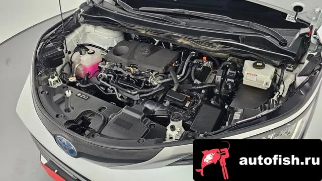 Toyota Sienna Siena 4th Generation 2022 года - вид 6