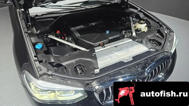 BMW X4 X4 (G02) 2021 года - вид 6