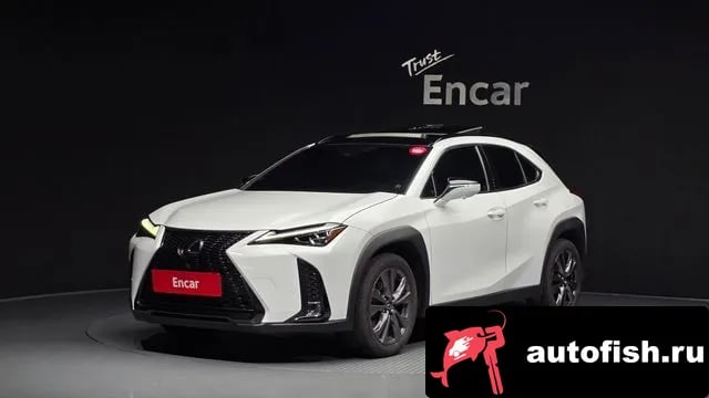 Lexus UX UX250h 2023 года - вид 1