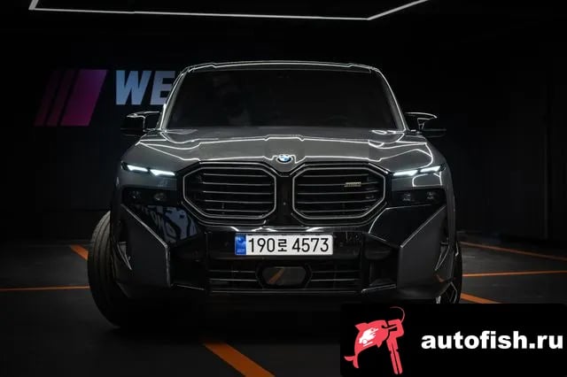 BMW XM XM (G09) 2024 года - вид 2