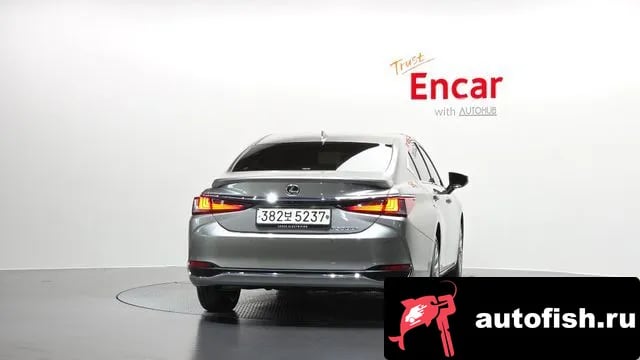 Lexus ES ES300h 7th generation 2023 года - вид 4