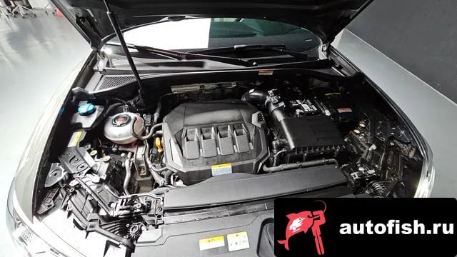 Audi Q3 Q3 (F3) 2023 года - вид 6
