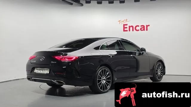 Mercedes-Benz CLS-Class CLS-Class C257 2019 года - вид 2