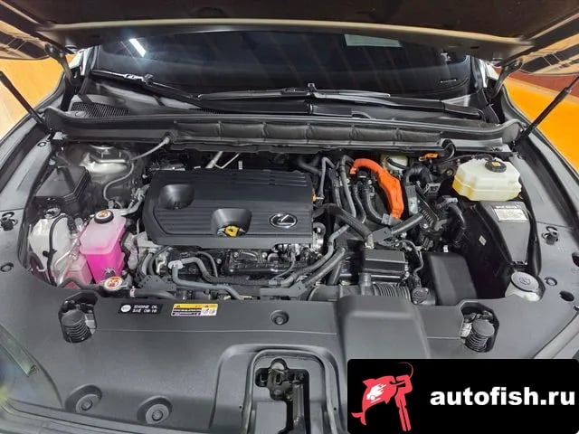Lexus RX RX350h 5th generation 2023 года - вид 6