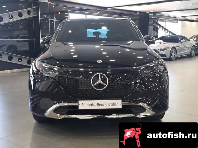 Mercedes-Benz EQE EQE SUV X294 2025 года - вид 6