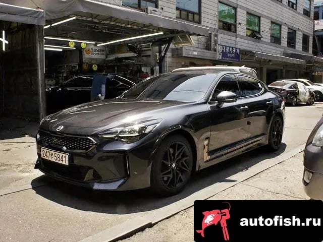 Kia Stinger Stinger Meister 2020 года - вид 2