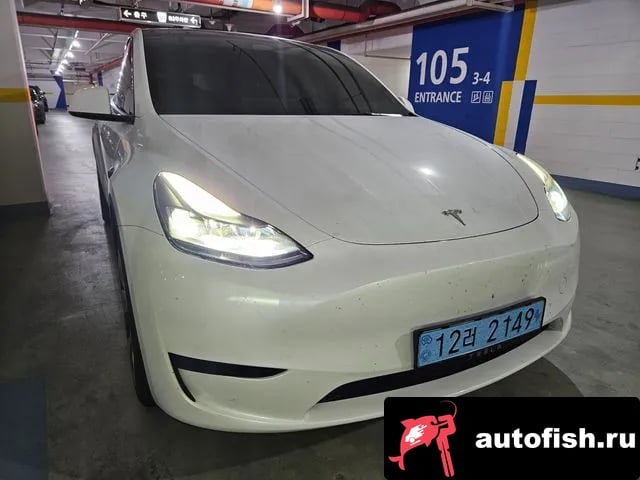 Tesla Model Y Model Y 2023 года - автомобиль из Южной Кореи
