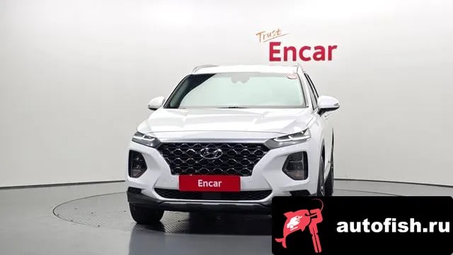 Hyundai Santafe San Tafe TM 2019 года - вид 3