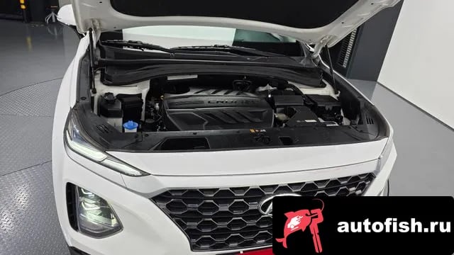 Hyundai Santafe San Tafe TM 2019 года - вид 6