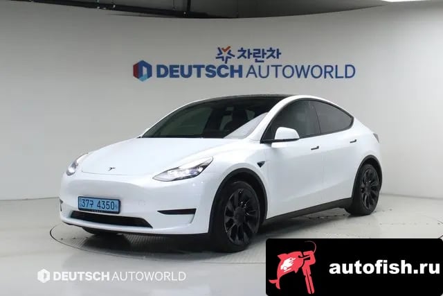 Tesla Model Y Model Y 2023 года - автомобиль из Южной Кореи