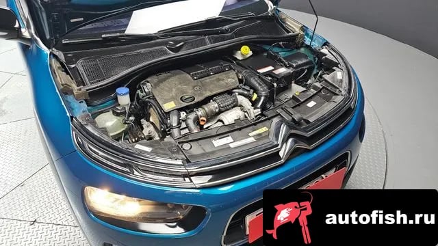 Citroen-DS C4 CACTUS C4 Cactus 2018 года - вид 6