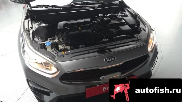 Kia K3 Come New K3 2019 года - вид 6