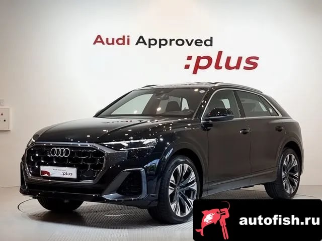 Audi Q8 Q8 (4M) 2024 года - вид 1
